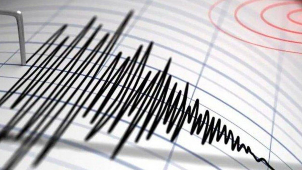 Seismograph