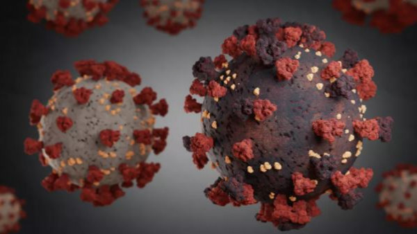 Virus Corona-1630675555