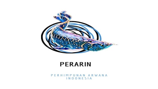 PERARIN-1633167517