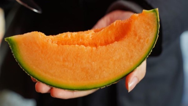 Melon-1636260212