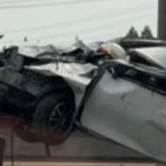 Calya terguling-1664198624