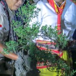 Gubernur NTT-1663394633