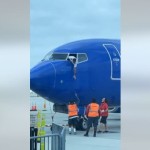 Pilot-1668652656