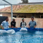 bididaya ikan-1670849249