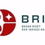 BRIN-1670308233
