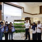 Hidroponik-1670416785