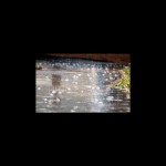 Hujan es/ist-1671279924