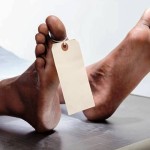 ilustrasi-1670908222