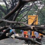 Ilustrasi-1671635315