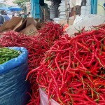 Ilustrasi cabai dan komiditas pangan di pasar tradisional/ist-1670920957