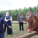 jawa timur-1671281416