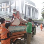 kelapa gading-1671531708