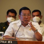 Kepala Badan Pangan Nasional/National Food Agency (NFA), Arief Prasetyo Adi. ANTARA/HO-NFA.-1670210850
