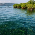 Kepulauan Riau-1670399419