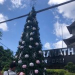 Masker digunakan sebagai salah satu hiasan pohon Natal di GPIB Maranatha, Kota Denpasar, Provinsi Bali, Rabu (21/12/2022). (ANTARA/Ni Putu Putri Muliantari)-1671597019