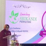 Nina Kurnia Dewi-1671528369