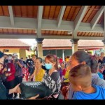 pakis bali-1671282212