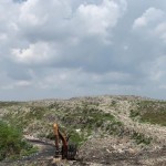 Palembang-1671452926