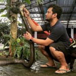 Panji Petualang-1671809001