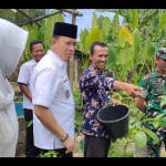 Pejabat Bupati OKU, Teddy Meilwansyah meninjau kolam pembudidaya ikan gabus di Desa Marta Jaya. (ANTARA/Edo Purmana/22)-1670232740