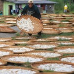 Pekerja menjemur kerupuk di Desa Kenanga, Indramayu, Jawa Barat, Senin (5/12/2022). ANTARA FOTO/Dedhez Anggara/tom.-1671431895