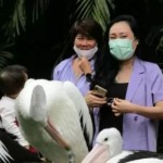 Pengunjung sedang berwisata-1672043583