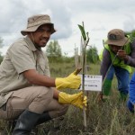 PT Bukit Asam Tbk-1671604339