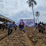 Rachmat Gobel uji coba tanam singkong organik bantu ketahanan pangan-1672136212