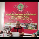 Riza Rahmadi-1672383262