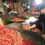 Seorang pedagang cabai sedang memilah cabai dagangannya di Pasar Senen, Jakarta, Jumat (23/12/2022). ANTARA/Kuntum Riswan-1671766790