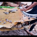 serpihan mirip badan pesawat-1671860960