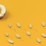 sperma berenang menuju sel telur-1670928780