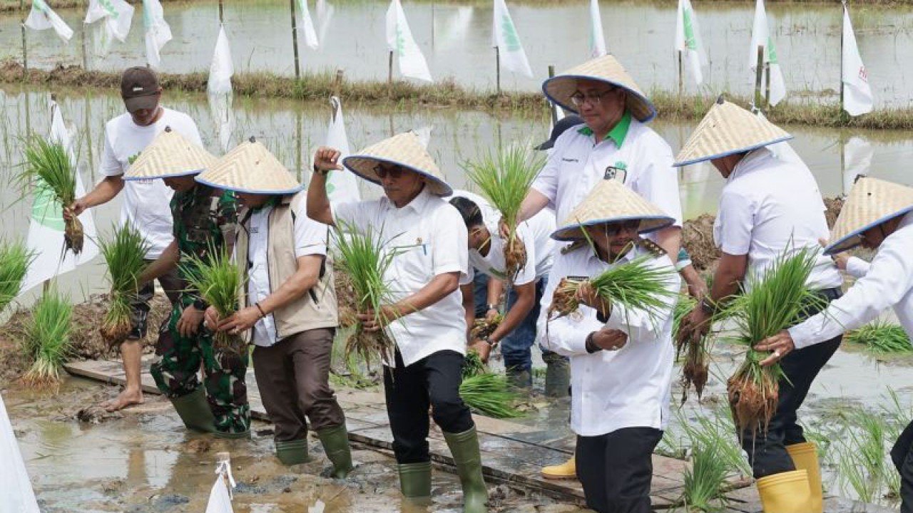 Kepala Staf Kepresidenan Moeldoko (ketiga kanan baris bawah) menanam padi bersama Forkopimda Aceh dan Kota Langsa pada acara Jambore Petani Milenial Aceh, di Desa Buket Meutuah, Kecamatan Langsa Timur, Langsa, Aceh, Rabu (21/12). (ANTARA/HO-Kantor Staf Presiden)