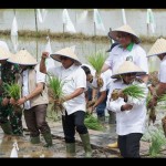 Staf Kepresidenan Moeldoko-1671618611