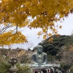 The Great Buddha di Kuil Kotoku-in, Kota Kamakura, Prefektur Kanagawa, Jepang. (ANTARA/Juwita Trisna Rahayu)-1671524574