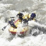 Tim Arum Jeram-1670242966