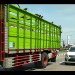 Truk melintas di jalan raya. (Ilustrasi). (ANTARA/Akhmad Nazaruddin Lathif)-1672382921