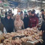 Wakil Bupati Paser, Kaltim, Syarifah Masitah Assegaf melakukan sidak ke Pasar Induk Penyembolum Senaken Kota, Tanah Grogot. ANTARA/R Wartono-1671609281