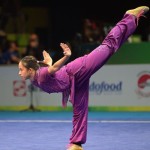 wushu-1670416033