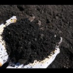 Abu sisa pembakaran batu bara dari Pembangkit Listrik Tenaga Uap (PLTU). (ANTARA/Firman)-1673854528