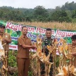 Aceh Timur kembangkan jagung untuk tingkatkan ketahanan pangan-1672979651