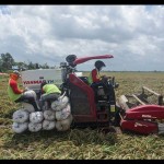 Alsintan dorong peningkatan produktifitas petani di Kampar. Antara.-1673422253