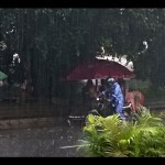 Arsip foto - Hujan lebat disertai petir mengguyur Purwokerto, Kabupaten Banyumas, Kamis (5/1/2023) siang. ANTARA/Sumarwoto-1673229550