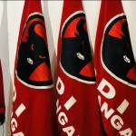 Bendera PDI Perjuangan-1672992321