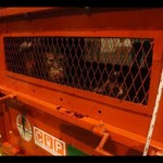 BKSDA Kaltim dan Sulut antar Astuti pulang ke Berau-1674617462