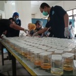 BNNK Penajam tes urine pegawai untuk cegah penyalahgunaan narkoba-1674117436