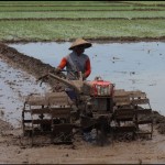 Buruh tani mempersiapkan lahan yang akan ditanami padi di areal persawahan Kabupaten Jombang, Jawa Timur, Rabu (4/1/2023). ANTARA FOTO/Syaiful Arif/rwa.-1673252394