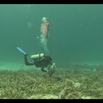 dasar laut-1674040824