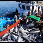 E-Log Book Penangkapan Ikan dinilai penting kelola perikanan-1673418997