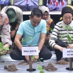 Fairid Naparin-1675056257